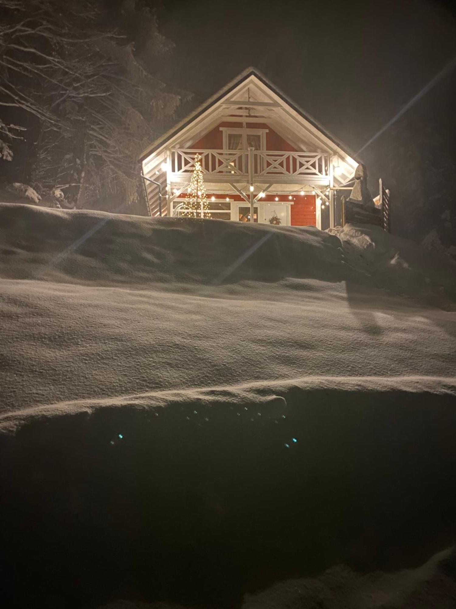 Forest House Targanice Exterior photo